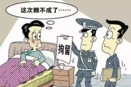 黔南债务清欠服务